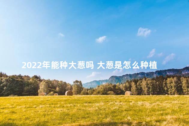 2022年能种大葱吗 大葱是怎么种植的